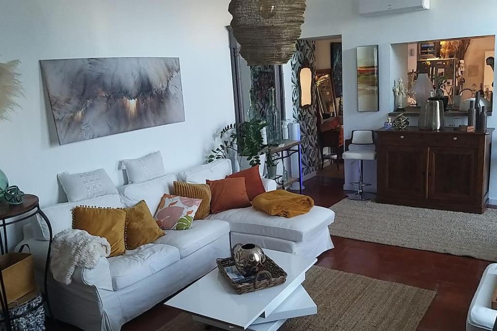 Maison Agreablement Chaleureuse Albi